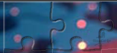 Setka14