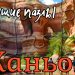 Header 920x430 russian