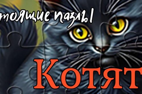 Header 920x430 russian