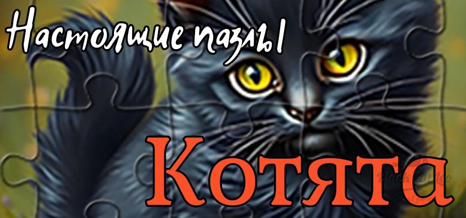 Header 920x430 russian