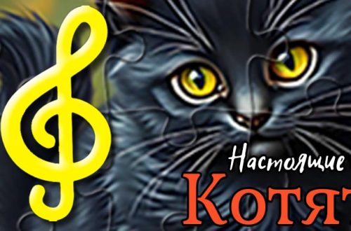 Header 920x430 russian